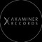 Axaminer Records