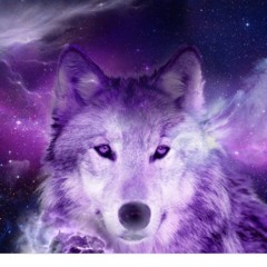 Starypup12