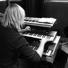 Pavo cristatus sounds