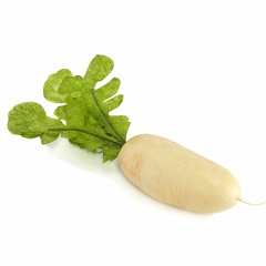Winter Root