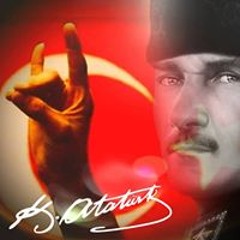 Koray çapa