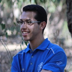 انس ايت بها