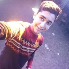 Ahmed Waleed Elshiekh