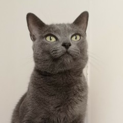 der