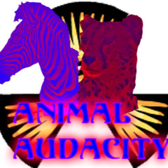 Animal Audacity