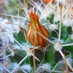 Juan Pablo Chica Vargas