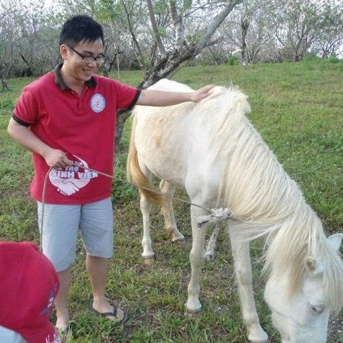 Trong Tan - Song DakRong Mua Xuan Ve