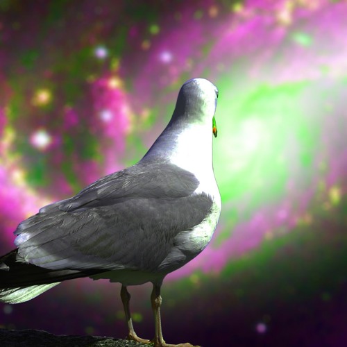 EccentriGull’s avatar