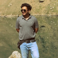 Hammas H. Chaudhry