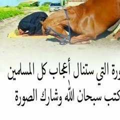 khaled