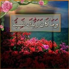 محمود غريب