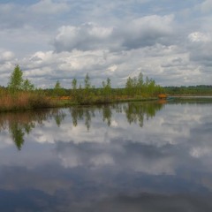 Sansen Guthrie