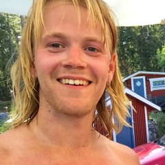 Joel Svensson Guitarist