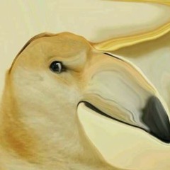 宋恩緯