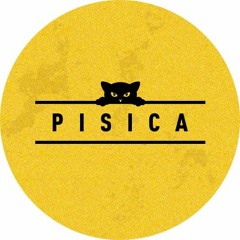 Pisica Records