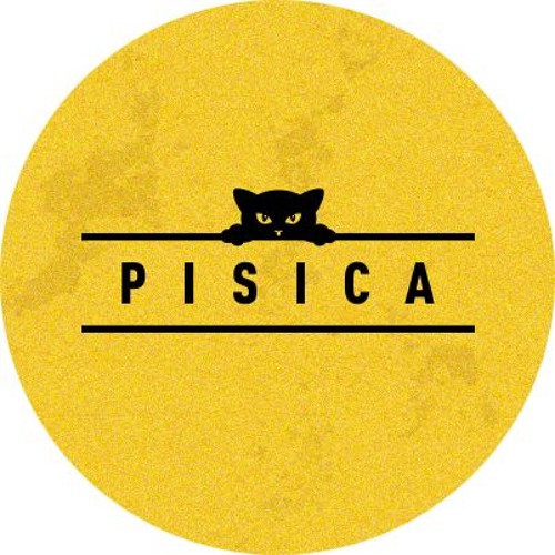 Pisica Records’s avatar