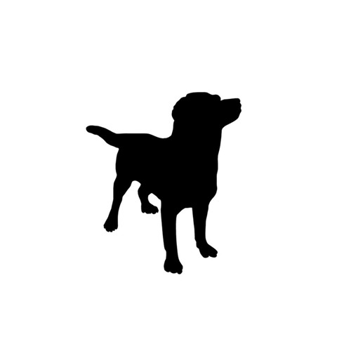 Chris Zintzen’s avatar