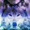 🐺Wolfie🐺