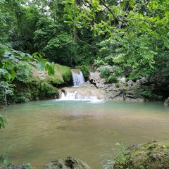 Narada