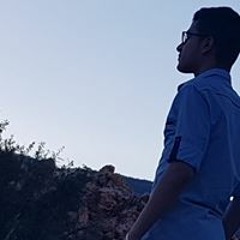 alimortada