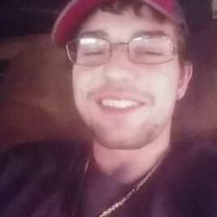 TreeO Davinci
