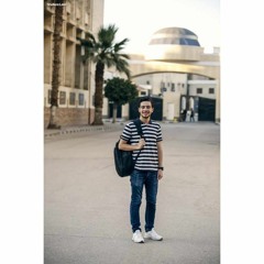 Mohamed Henedy