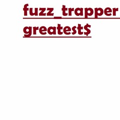 fuzz_trapper