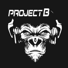 Project B