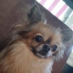 maxx_miila