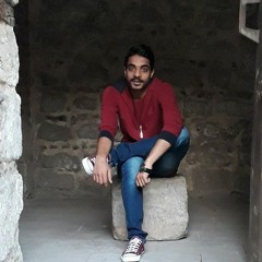 Ahmed Nawara 3