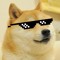 doge daily 9000