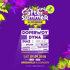 SUMMER FESTIVALS ZEELAND