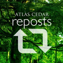 Atlas Cedar Reposts