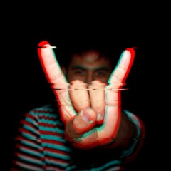 WILD PROJECT