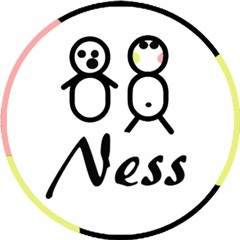 Thenesstwins