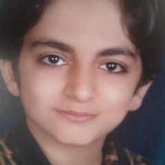 amirhosein abolfathi