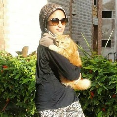 rody mohamed