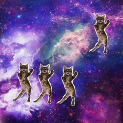 DG