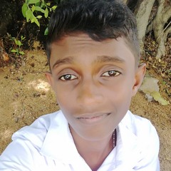 shashika s edirisingha