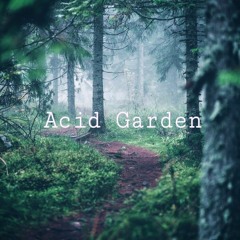 Acid Garden