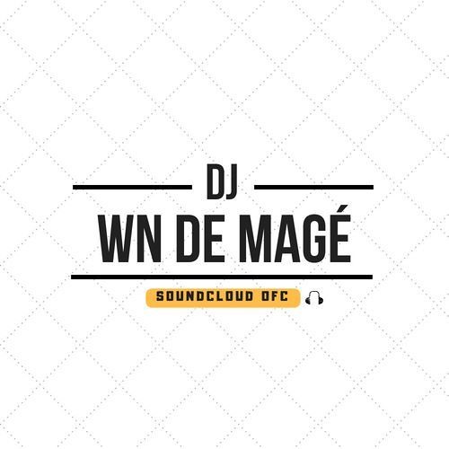 CHEGA BOTANDO NO BEAT VULK VULK -- DJ WN DE MAGE 2026