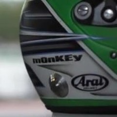 ZeMonkey Madness