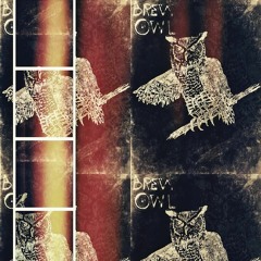 Brew Owl