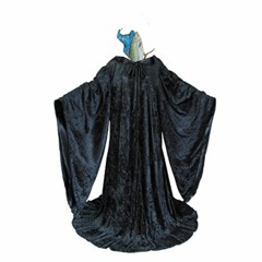 𝔽𝕚𝕤𝕙𝕨𝕚𝕫𝕒𝕣𝕕𝟙