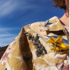 all bright stars align