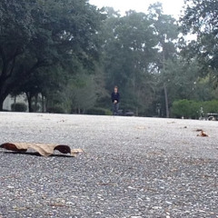 Bottles The over lord