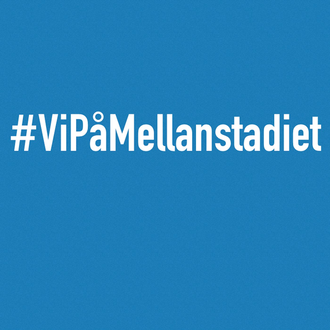 1 - Planeringar