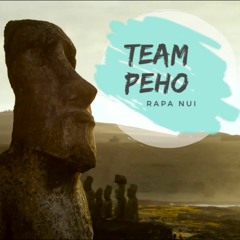 TEAM PEHO RAPANUI RMX