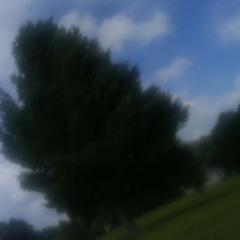 lil_gw