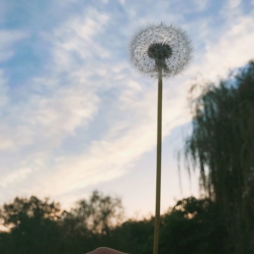 L -이문세(李文世) 빗속에서(在雨中)